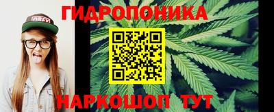 ECSTASY Кулебаки