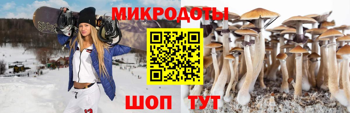 Калач-на-Дону  Галлюциногенные грибы MAGIC MUSHROOMS  Галлюциногенные грибы Psilocybine cubensis  Вход с VPN 